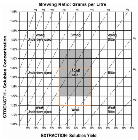 Coffee Brewing - SCAE Special Coffee Association of Europe