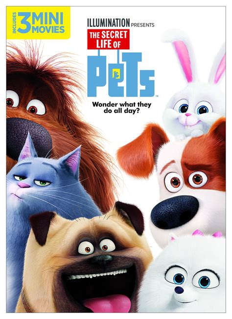 The Secret Life Of Pets (DVD) - Walmart.com - Walmart.com