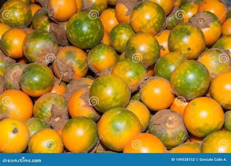 Lulo Tropical Fruit - Solanum Quitoense Stock Photo - Image of diet, organic: 149528152