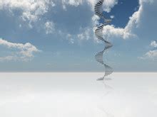 Stairway To Heaven Spiral Free Stock Photo - Public Domain Pictures