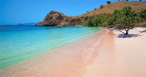 10 Best Pink Sand Beaches in the World