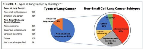 Nonbiomarker, Nonsquamous NSCLC: Diagnosis, Statistics, Staging, and Testing