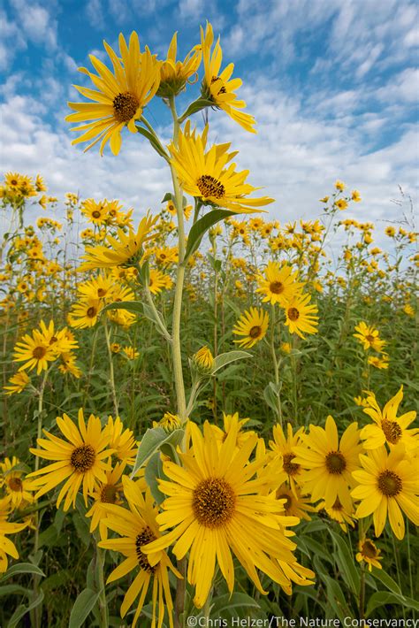 Photos of the Week – September 3, 2021 | The Prairie Ecologist