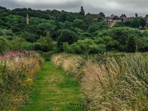 Mark's History: Rodley Nature Reserve footpath that may date back 300 years - West Leeds Dispatch