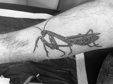 Praying mantis tattoo Bug Tattoo, Insect Tattoo, Tattoo Styles, Tattoo ...