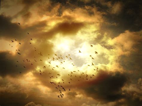 Poetry of the skies | Birds flying high as the sun breaks th… | Flickr