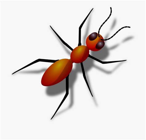 Ant clipart, Ant Transparent FREE for download on WebStockReview 2024