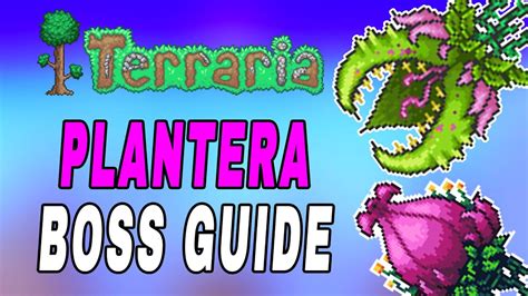 Terraria: How To Beat & Defeat Plantera EASY Tutorial (Boss Fight Guide) - YouTube