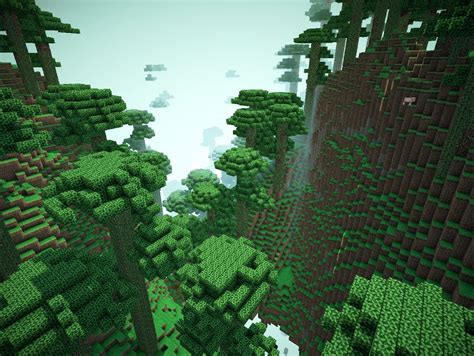 Forest Biome: How To Find A Forest Biome In Minecraft