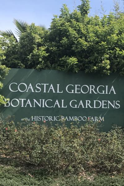 A Visit To Savannah's Coastal Georgia Botanical Gardens