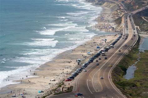 Torrey Pines State Reserve | Information, Trails, Wildlife, & Beach | La Jolla Mom