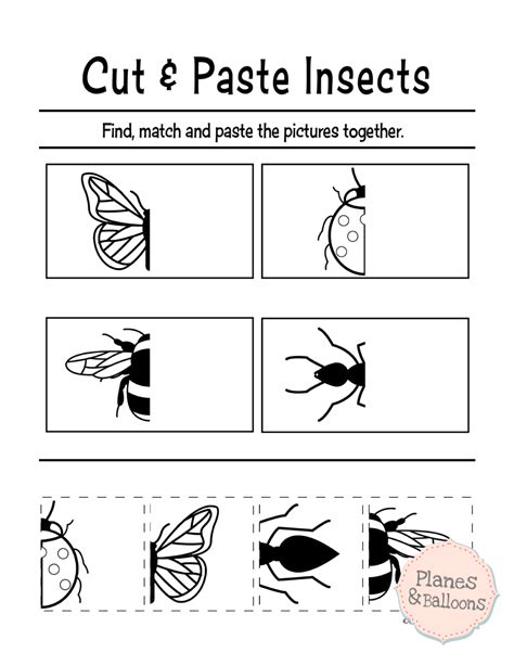 Smart Cut And Paste Worksheets Preschool Counting Money Printable