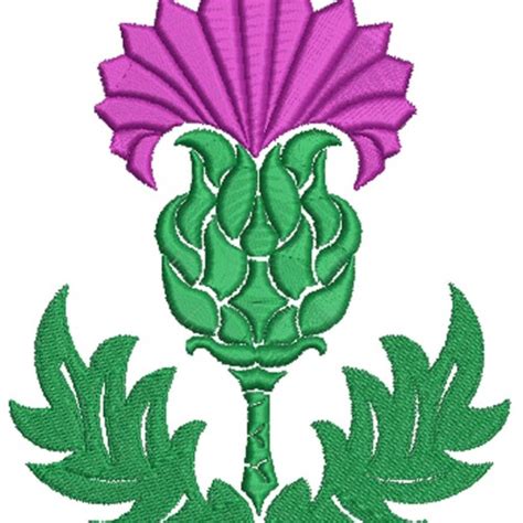 Scottish Thistle Embroidery Design Instant Download - Etsy