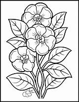 Easy Flower Coloring Pages 17 – Simply sketch template