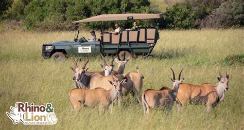 Rhino and Lion Park Tour - Cape Town Day Tours - South Africa