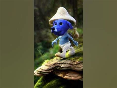 blue Smurf dog - YouTube