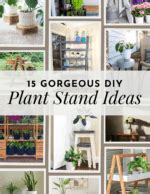 15 Beautiful DIY Plant Stand Ideas – Love & Renovations