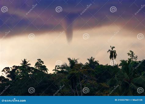 Formation of a Tornado on Sea in Tropics Against Background of Jungle ...