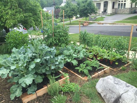 10 Great Front Yard Vegetable Garden Ideas 2024