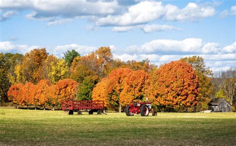 Discover Fall Farms and Festivals in Central Massachusetts - New England