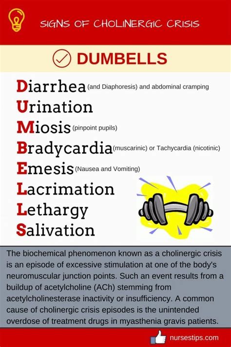 "DUMBELLS" - Signs of Cholinergic Crisis #mnemonic #nursingschool # ...