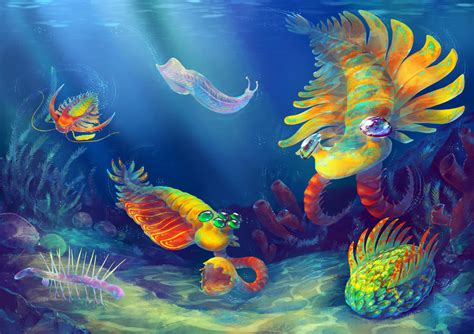 Anomalocaris, Opabinia, Wiwaxia, Hallucigenia... by Fany001 on DeviantArt