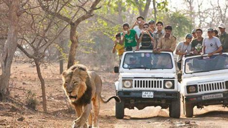 Bannerghatta National Park | Bannerghatta National Park Safari