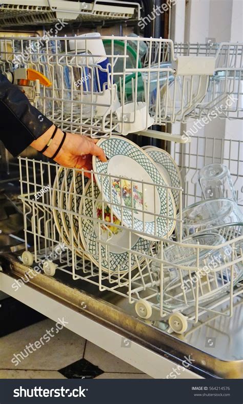 Unloading Dishwasher Stock Photo (Edit Now) 564214576