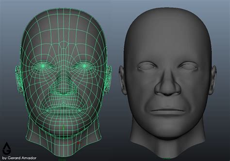 Human Face 3D Model by gerardamador on DeviantArt