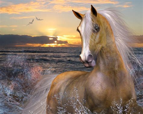 Free Horse Wallpaper and Screensavers - WallpaperSafari