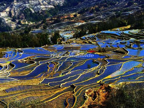 Yuanyang Rice Terraces in Winter, Yuanyang Winter Travel