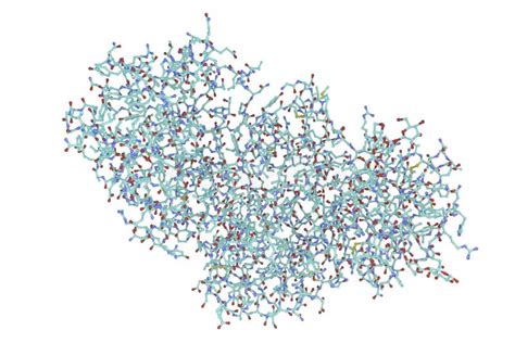 Molecular model of ricin stock illustration. Illustration of health - 83993969
