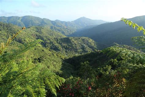 Jamaica's Blue and John Crow Mountains designated a world heritage site ...