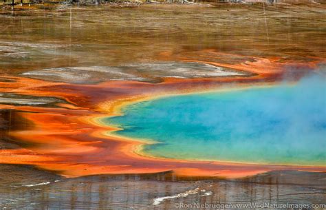 Grand Prismatic Spring | Yellowstone National Park, Wyoming. | Photos by Ron Niebrugge