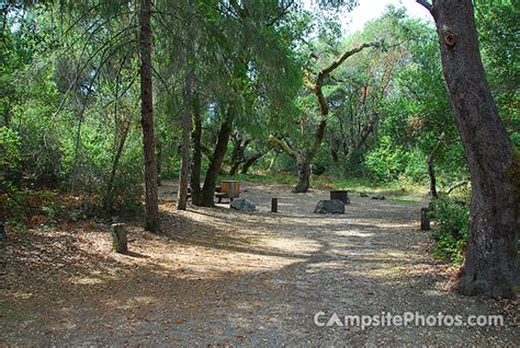 Henry Cowell Redwoods State Park - Campsite Photos & Reservations