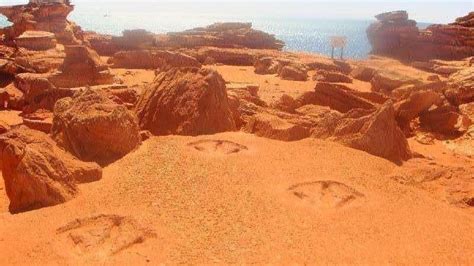 Dinosaur footprints at Gantheaume Point photo Broome Australia