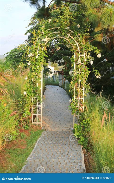 Garden Green Arch Entrance Gate Covered with Green Leaf. Archway To the ...