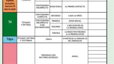 ¿Qué importancia tiene la CARTILLA DE VACUNACIÓN? Aquí todo lo que ...