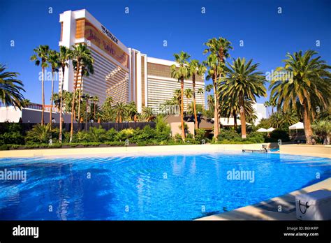 Are Dogs Allowed At The Mirage Las Vegas Pool