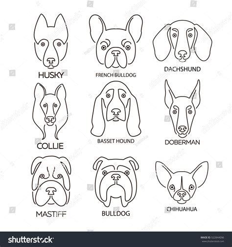 26,136 Dog Face Line Drawing Images, Stock Photos & Vectors | Shutterstock