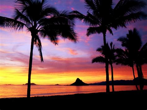 Hawaiian Sunset Wallpaper - WallpaperSafari