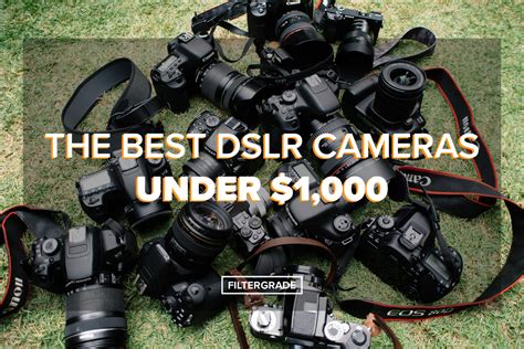 Top DSLR Cameras Under $1,000 in 2020 - FilterGrade