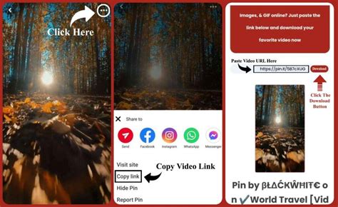 Pinterest Video Downloader – Download Pinterest Videos, Images & GIFs ...