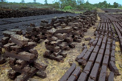 Irish Peat Bog Photograph by Ann O Connell