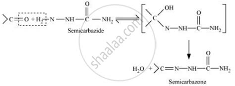 What is meant by the following terms? Give an example of the reaction in each case ...