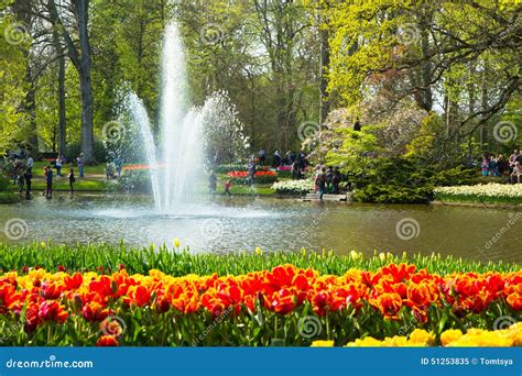 Tulips in Keukenhof park editorial image. Image of bulb - 51253835