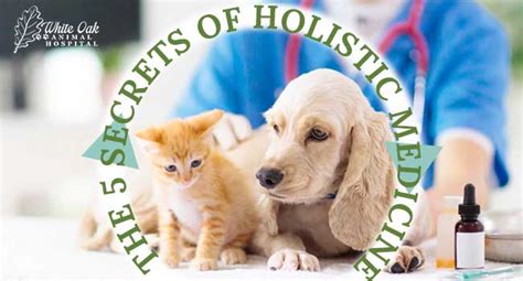 The 5 Secrets of Holistic Medicine: Finding the Right Holistic Veterinarian Near Me - White Oak ...