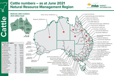 Cattle distribution across Australia revealed - Beef Central