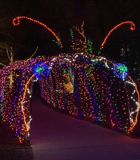 Garden of Lights at Brookside Gardens Cancelled This Year - The MoCo Show