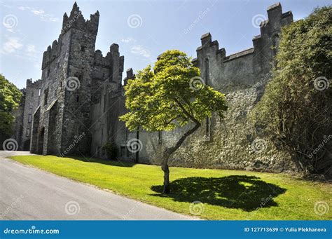 The old castle editorial stock image. Image of ireland - 127713639